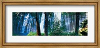 Waterfall in a forest, McArthur-Burney Falls Memorial State Park, California Fine Art Print