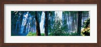 Waterfall in a forest, McArthur-Burney Falls Memorial State Park, California Fine Art Print