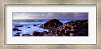 Rock formations on the coast, Giants Causeway, County Antrim, Northern Ireland Fine Art Print