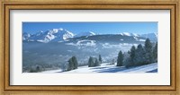 Trees with snow covered mountains in winter, Combloux, Mont Blanc Massif, Haute-Savoie, Rhone-Alpes, France Fine Art Print
