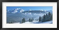 Trees with snow covered mountains in winter, Combloux, Mont Blanc Massif, Haute-Savoie, Rhone-Alpes, France Fine Art Print