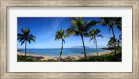Palm trees on the beach, Maui, Hawaii, USA Fine Art Print