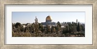 Trees with mosque in the background, Dome Of the Rock, Temple Mount, Jerusalem, Israel Fine Art Print