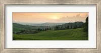 Trees on a hill, Monticchiello Di Pienza, Val d'Orcia, Siena Province, Tuscany, Italy Fine Art Print