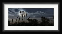 Stork with a baby flying over moon Fine Art Print