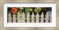 White picket fence and red hibiscus flower along Whitehead Street, Key West, Monroe County, Florida, USA Fine Art Print