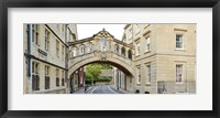 Bridge across a road, Bridge of Sighs, New College Lane, Hertford College, Oxford, Oxfordshire, England Fine Art Print