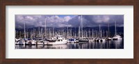 Boats at a harbor, Santa Barbara Harbor, Santa Barbara, California, USA Fine Art Print