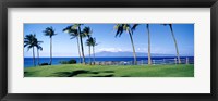 Palm trees at the coast, Ritz Carlton Hotel, Kapalua, Molokai, Maui, Hawaii, USA Fine Art Print