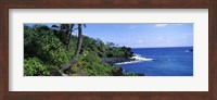 Palm trees with plants growing at a coast, Black Sand Beach, Hana Highway, Waianapanapa State Park, Maui, Hawaii, USA Fine Art Print