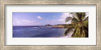 Palm tree on the beach, Hamoa Beach, Hana, Maui, Hawaii, USA Fine Art Print