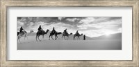 Tourists riding camels through the Sahara Desert landscape led by a Berber man, Morocco (black and white) Fine Art Print