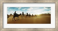 Tourists riding camels through the Sahara Desert landscape led by a Berber man, Morocco Fine Art Print