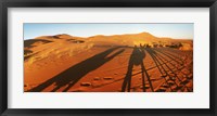 Shadows of camel riders in the desert at sunset, Sahara Desert, Morocco Fine Art Print