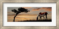 Horse mare and a foal grazing by tree at sunset Fine Art Print