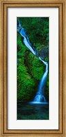 Waterfall in a forest, Sullivan Falls, Opal Creek Wilderness, Oregon, USA Fine Art Print