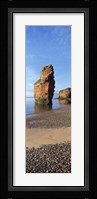 Pebbles on the beach, Ladram Bay, Devon, England Fine Art Print