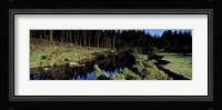River flowing through a forest, East Dart River, Dartmoor, Devon, England Fine Art Print