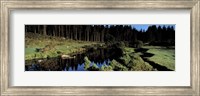 River flowing through a forest, East Dart River, Dartmoor, Devon, England Fine Art Print