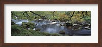 River flowing through a forest, West Dart River, Dartmeet, Devon, England Fine Art Print