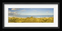 Grass on the beach, Horsey Beach, Norfolk, England Fine Art Print