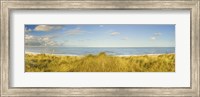 Grass on the beach, Horsey Beach, Norfolk, England Fine Art Print