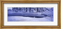 River flowing through a snow covered forest, Dal River, Sweden Fine Art Print