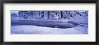 River flowing through a snow covered forest, Dal River, Sweden Fine Art Print