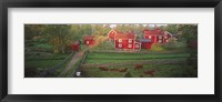 Traditional red farm houses and barns at village, Stensjoby, Smaland, Sweden Fine Art Print