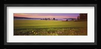Wildflowers in a field, Finland Fine Art Print