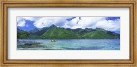 Polynesian people rowing a yellow outrigger boat in the bay, Opunohu Bay, Moorea, Tahiti, French Polynesia Fine Art Print