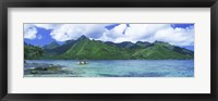 Polynesian people rowing a yellow outrigger boat in the bay, Opunohu Bay, Moorea, Tahiti, French Polynesia Fine Art Print