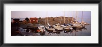 Sailboats on the coast, Stora Nassa, Stockholm Archipelago, Sweden Fine Art Print