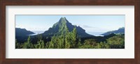 Mountains at a coast, Belvedere Point, Mont Mouaroa, Opunohu Bay, Moorea, Tahiti, French Polynesia Fine Art Print