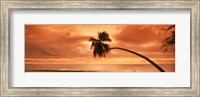 Silhouette of an old palm tree on the beach at sunset, Aitutaki, Cook Islands Fine Art Print