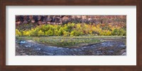 Virgin River at Big Bend, Zion National Park, Springdale, Utah, USA Fine Art Print