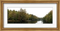 Reflection of trees in the Musquash River, Muskoka, Ontario, Canada Fine Art Print