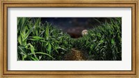 Dark corn field Fine Art Print