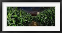Dark corn field Fine Art Print