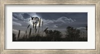 Stork flying with baby in beak over moon Fine Art Print