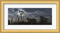 Stork flying with baby in beak over moon Fine Art Print