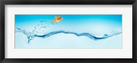 Goldfish jumping out of water Fine Art Print