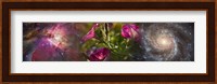 Close-up of flowers and universe Fine Art Print