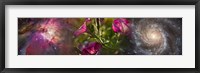Close-up of flowers and universe Fine Art Print