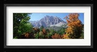 Pelens Needle in autumn, French Riviera, Provence-Alpes-Cote d'Azur, France Fine Art Print