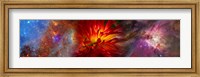 Hubble galaxy with red chrysanthemums Fine Art Print