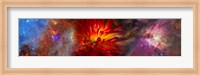 Hubble galaxy with red chrysanthemums Fine Art Print
