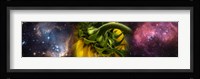 Sunflower in the Hubble cosmos Fine Art Print