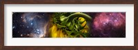 Sunflower in the Hubble cosmos Fine Art Print