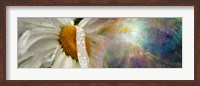 Daisy with Hubble cosmos Fine Art Print